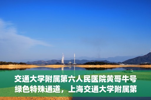 交通大学附属第六人民医院黄哥牛号绿色特殊通道，上海交通大学附属第六人民医院黄哥牛号绿色就医特殊通道开启