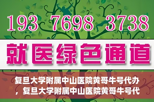 复旦大学附属中山医院黄哥牛号代办，复旦大学附属中山医院黄哥牛号代办，权威医疗资源的深度解读与便捷服务体验